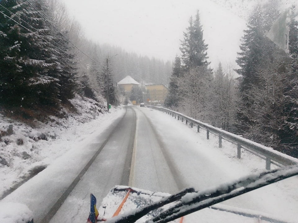 Ninge puternic
